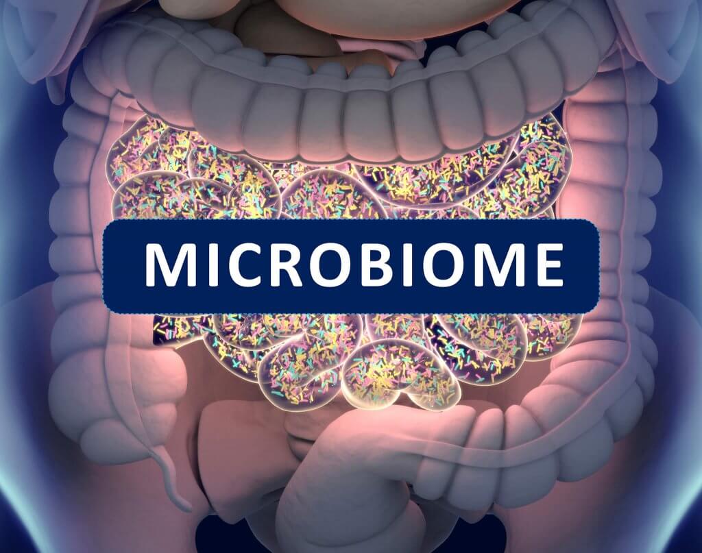 Microbiome Testing: Everything You Need to Know | Shopper Advocate