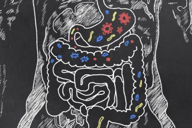 Improve your Gut Microbiome